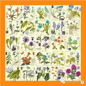 微信圖片_20171202171130 微信圖片_20171202171130